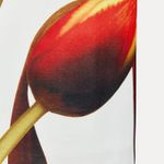 ZARA  Floral Maxi Dress strappy bodycon fitted bohemian summer vacation casual  Photo 7