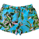 Twelfth Street Cynthia Vincent Shorts 100% Silk Tropical Drawstring Small Blue Photo 0