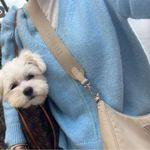 ZARA  sweater Photo 1