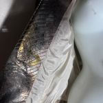 Isabel Marant Isabelle leather Metallic Croc-Embossed Women's Blazer medium Photo 1