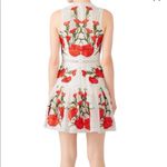 Alexis  Sabella Dress in Blossom Embroidery Size Small Photo 4