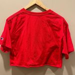 Champion Wisconsin Zipper Crop Top Photo 2