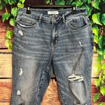 Judy Blue  High Waist Skinny Jeans Slim Fit Distressed Blue Womens 16W Plus Photo 1