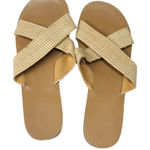 J.Crew  Women’s Flat Sandals Size 9 Photo 0