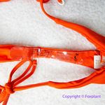 New! Set! Zulu & Zephyr Free People Tie Curve‎ Brief Bikini, size 2 Red Photo 12