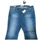 Torrid 24T Plus Perfect Slim Boot Vintage Stretch Mid-Rise Jean Shelby 68 NWT Photo 3