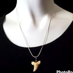 18K White Gold Plated Sharks Tooth Necklace Silver Photo 1