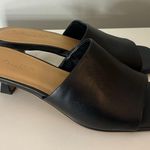 Splendid  Harper Slide Sandal Photo 1