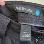 Lane Bryant  Flat Fronts Dress Pants Slash Pocket Navy Blue Size 3 Petite Photo 6