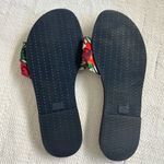Havaianas  Women's Tropical Floral Sandals - green and Red Photo 3