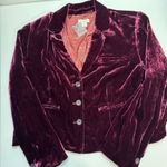 Sundance  Silk Blend Velvet Blazer Jacket Large Petite NWT Photo 0