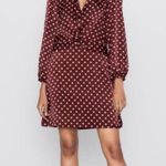 ZARA  Polka Dot Dress Photo 0