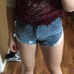 Blu Pepper Adorable Shorts  Photo 0