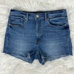 Banana Republic  Premium Denim High Waisted Shorts Photo 0