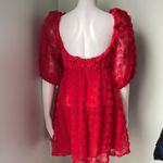 For Love & Lemons  Hannah Mini Dress Medium Photo 10