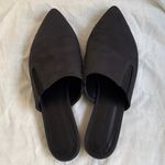 Jenni Kayne  Black Women's Mules Photo 1