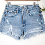 AGOLDE Women's Light Blue Distressed Jean Shorts 23 Photo 0