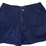 National Outfitters Vintage Y2K Purple Mom/Carpenter Shorts Juniors Size 3 NWT Photo 0
