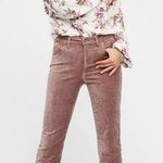 Free People Crushed Velvet Crop Flare Pants | Taupe | 26 Photo 0