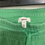 Aerie  Mint Green Joggers Photo 4