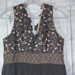 Heartloom  Anthropologie Black sheer and lace fit& flare dress Photo 6