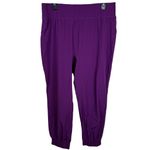 Halara Brand New  Deep Purple Activewear Lightweight Joggers Size XL Petite Photo 1