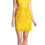 Jenny Yoo  Collection “Hudson” Yellow lace strapless Cocktail Floral Dress Size 6 Photo 13