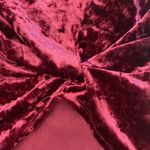 Hummingbird  Velvet Tee Maroon Photo 1