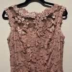 Tadashi Shoji  Floral Lace Illusion Sequin Knee Length Dress, Blush/Pink, Size 6 Photo 4