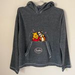 Disney Vintage 90s/Y2k Pooh Tigger Buddies Fleece Pullover Hoodie Size M Photo 0