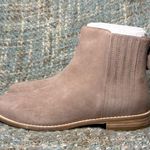 Eileen Fisher Rich Ankle Bootie in Earth Suede Photo 2