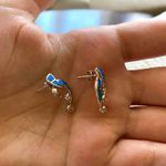 Sterling Silver Earrings Photo 1