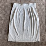 The Limited  Skirt Photo 2