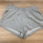 The North Face  Sweat Shorts Photo 0