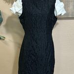 NWOT Sister Jane Paddock Black and White Bow Sleeve Mini Dress Size L Photo 1