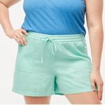 J.Crew Linen Blend High Waist Mint Green Casual Shorts Size XXL NEW Photo 0