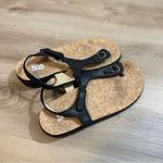 SAS Marina T Photo 1