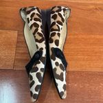 Tod's Tod’s Pony-style calfskin leopard print pointed Toe ballet flat Size 36 Photo 7