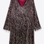 ZARA NWT Festive Burgundy Fringed Sequin Dress Photo 9