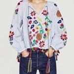 ZARA  BBWM Woman Striped Floral Fruit Embroidered Balloon Sleeve Boho Top Photo 0