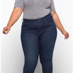 Madewell Dark Wash 9” High Rise Skinny Jeans 36 Petite Short Plus Size Photo 0