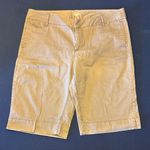 Caslon  Women's Khaki Bermuda Shorts / DG70 Photo 0