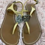 Tory Burch Sandals Photo 0