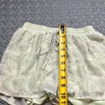 Miami  Light Green Lace‎ Embroidered Comfy Shorts Size S Photo 5