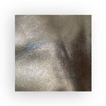 HTF: new Kale ꕥ Diego Lamb Leather Messenger Handbag Bag ꕥ Chocolate Metallic ꕥ Brown Photo 12