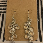 The Limited  Silver Dangle Earrings Photo 0