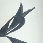 Black Wooden Chunky Beaded Boho Fabric Strand Tie Closure Necklace Photo 6