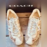 Coach  Katelyn signature khaki off white sneakers Photo 1