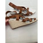 Cole Haan Sandals Size 11 B Brown Strappy Ankle Strap Buckle Open Toe Chic Photo 3