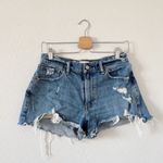 Abercrombie & Fitch The Mom Short Mid Rise Curve Love Distressed Size 27 Photo 1